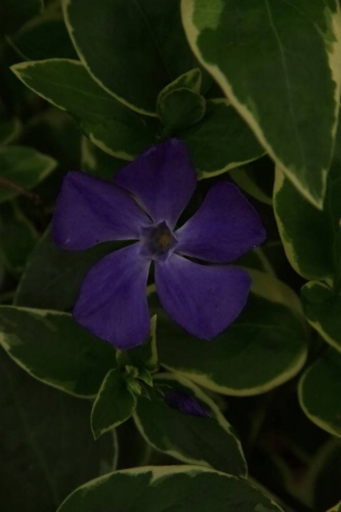 2011 05 03 IMG 30465